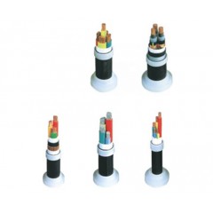 聚乙烯絕緣氯乙烯護套特軟控制電纜Q(L)XL311-2009