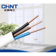正泰明裝平行扁銅線 三芯護套