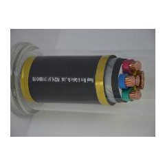 華旗 聚氯乙烯絕緣聚氯乙烯護套電力電纜.jpg