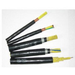 塑料絕緣控制電纜1