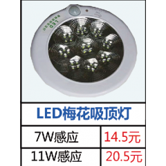7W感應14.5元       11W感應20.5元