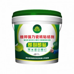 樓邦強力瓷磚粘結劑（6代雙組份）
