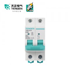天正電器 空氣開關TGB1N-63 2P C 50A 6KA 01060270093 微型斷路器