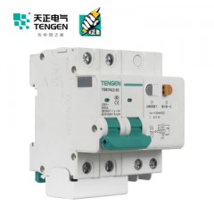 天正電器 空氣開關 TGB1NLE-63 2P C 63A 30mA 01070240043 微型漏電保護