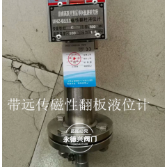 磁翻板遠(yuǎn)傳液位計(jì)水位計(jì)
