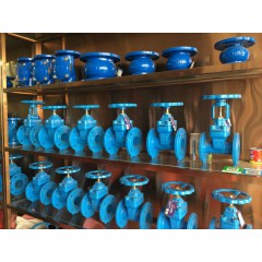 店內展示