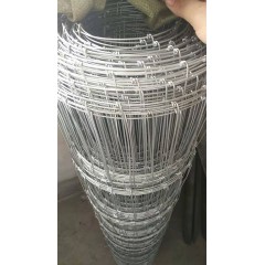 牛欄網