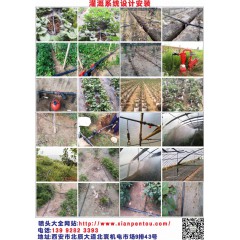 大棚灌溉系統