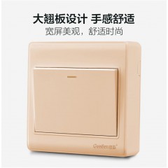 香檳金色 86明裝開關插座