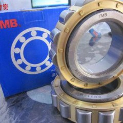 天馬軸承tmb圓柱滾