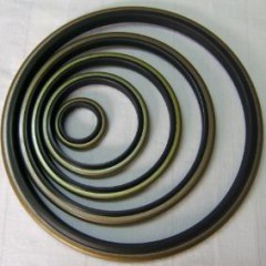 進(jìn)口油封