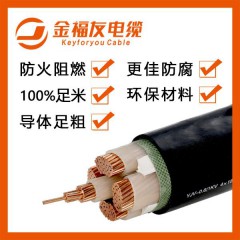 金福友電纜 bvr2.5平方國標(biāo)銅芯 家裝工程照明電線