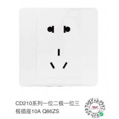 CD210系列一位二級一位三級插座10A Q86ZS