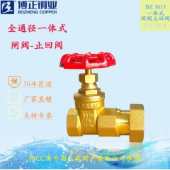博正 一體式閘閥止回閥 止回閘閥 水表逆止閥 59銅材質(zhì)