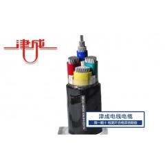 津成電線電纜11