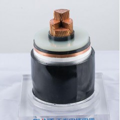 正泰 額定電壓110kV、220kV交聯(lián)聚乙烯絕緣電力電纜