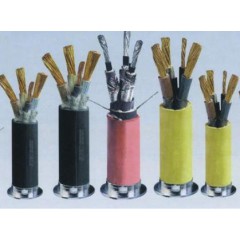 銅芯塑料絕緣(鎧裝)電力電纜